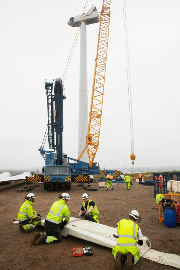 Boostez votre énergie avec la cure de gelée royale bio