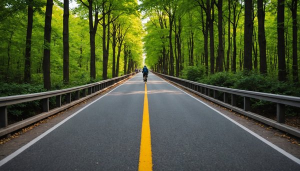 Rampe pmr : l'accessibilité à portée de main pour tous